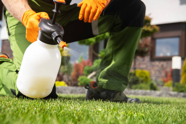 Best Local Pest Control Services  in Belle Glade, FL