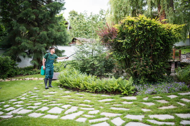 Best Affordable Pest Control Services  in Belle Glade, FL