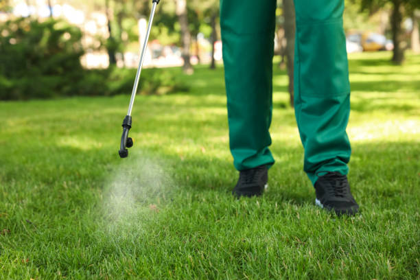 Best Local Pest Control Services  in Belle Glade, FL
