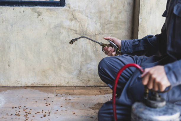 Best Local Pest Control Services  in Belle Glade, FL