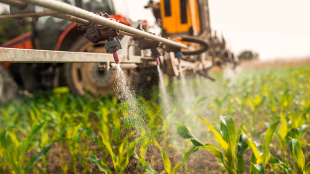 Reliable Belle Glade, FL Pest Control Solutions